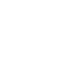IE Logo